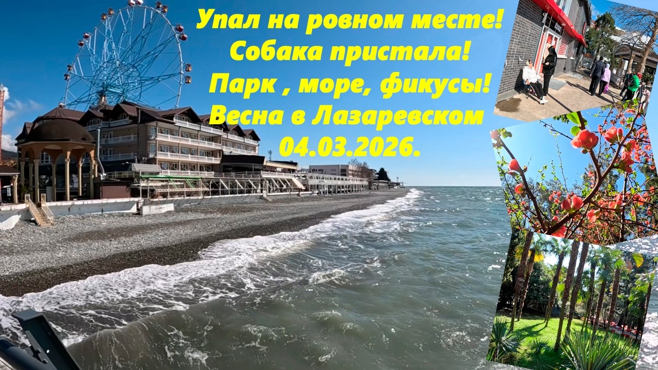 Падаю на ровном месте! Море, парк, собака! Лазаревское 04.03.2026. ЛАЗАРЕВСКОЕ СЕГОДНЯ