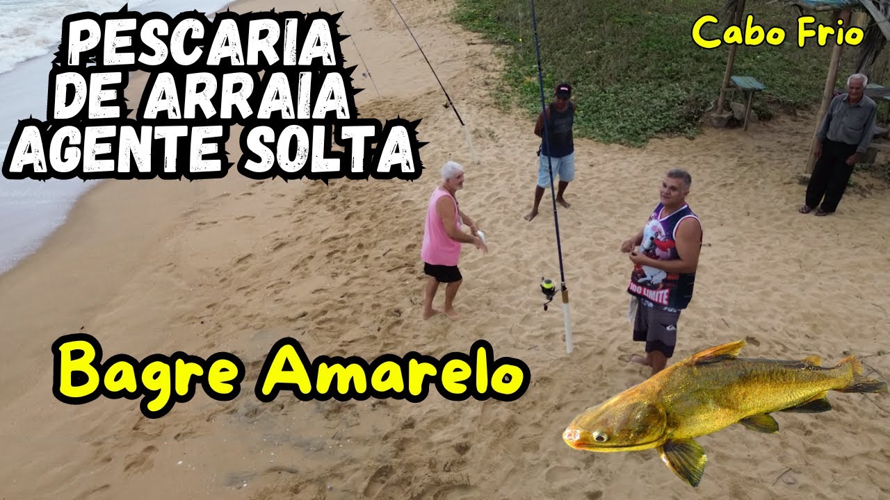 Pescaria de Arraia Agente Solta, Pescaria de Bagre Amarelo Muito Bagre na &Aacute;rea, Bagre Temperado!