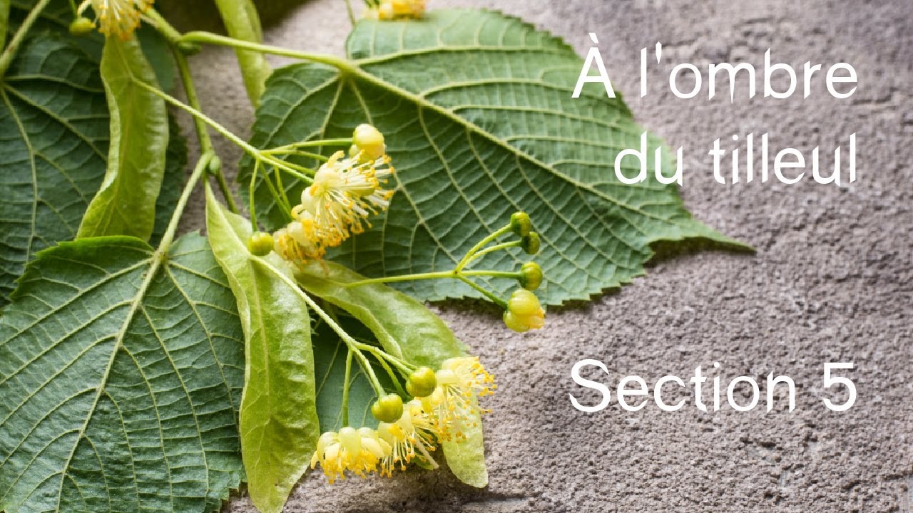 À l'ombre du tilleul, châle crochet - section 5