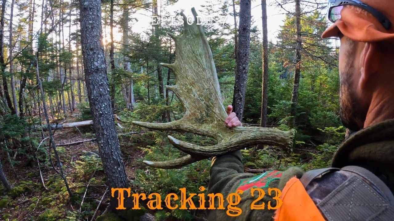 Hunting the Big Woods the Benoit Way