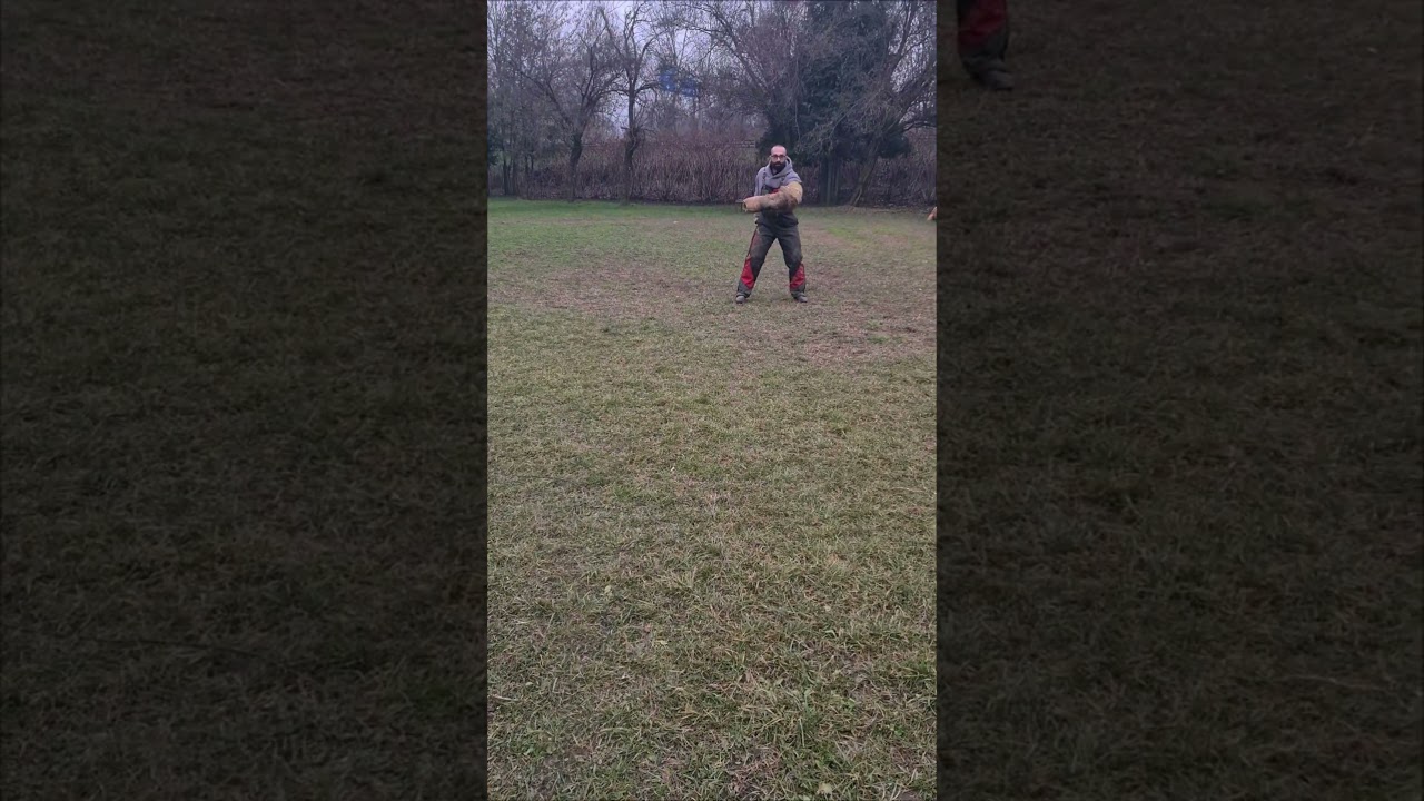 Tex non vuole invecchiare #cinofilia #malinois #igp #addestramentocani