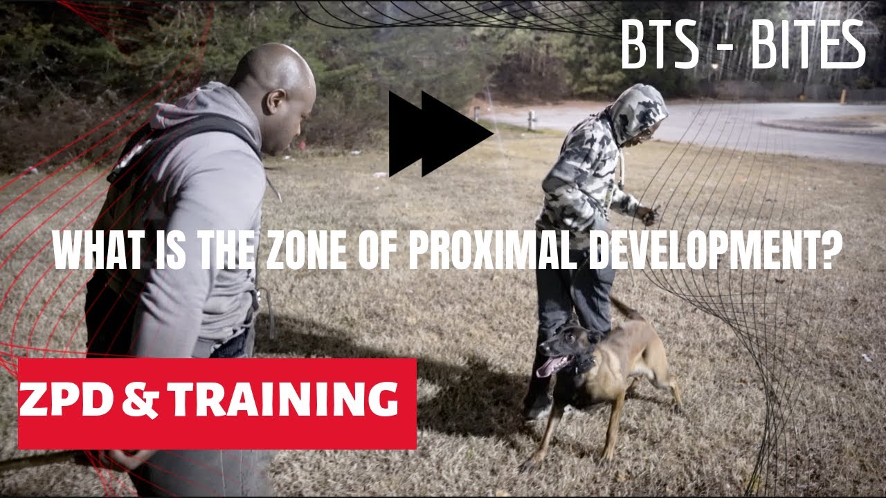 BTS Bites - Zone of Proximal Development - Creating Exercise Fluency and Generalizing of Behaviors