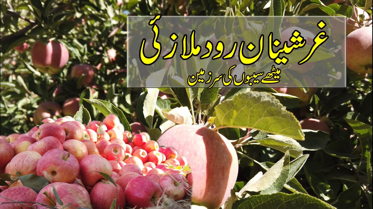Land of delicious and red apples||Gharshenan Roud Mulazai||Beauty of Balochistan
