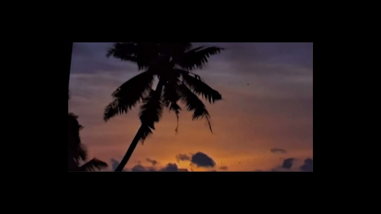 കവിത, ശ്രീ സച്ചിദാനന്ദൻ 