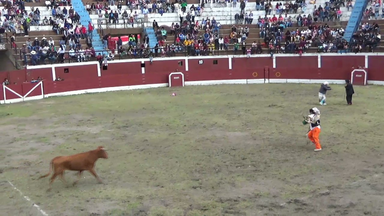 Corrida de toros en Huari – Ancash  2021 – 