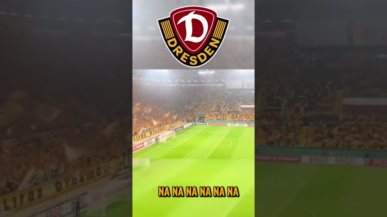 DYNAMO DRESDEN ULTRAS #ultras #shorts # #football