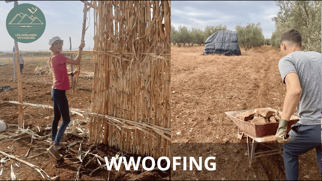 Wwoofing au Maroc
