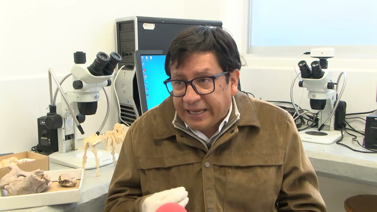 Mamuts podrían ser clonados gracias a un descubrimiento de fósiles