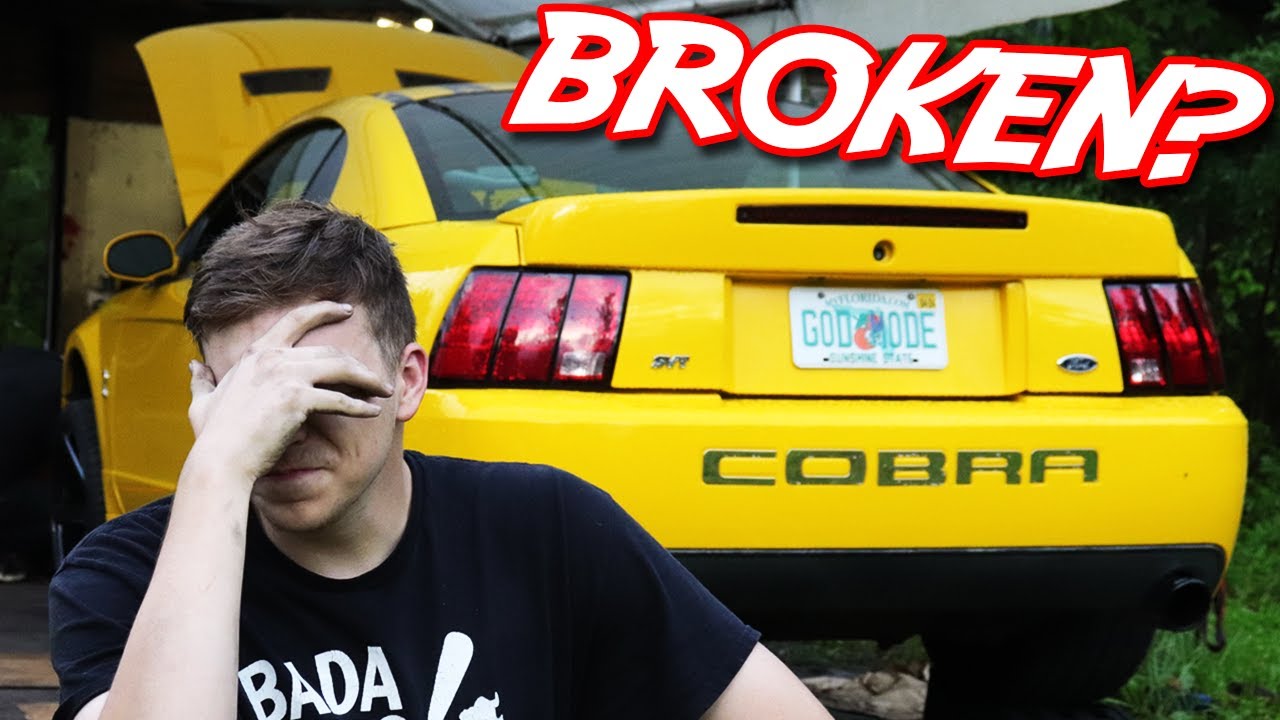 The Cobra BROKE In The STRANGEST Way!