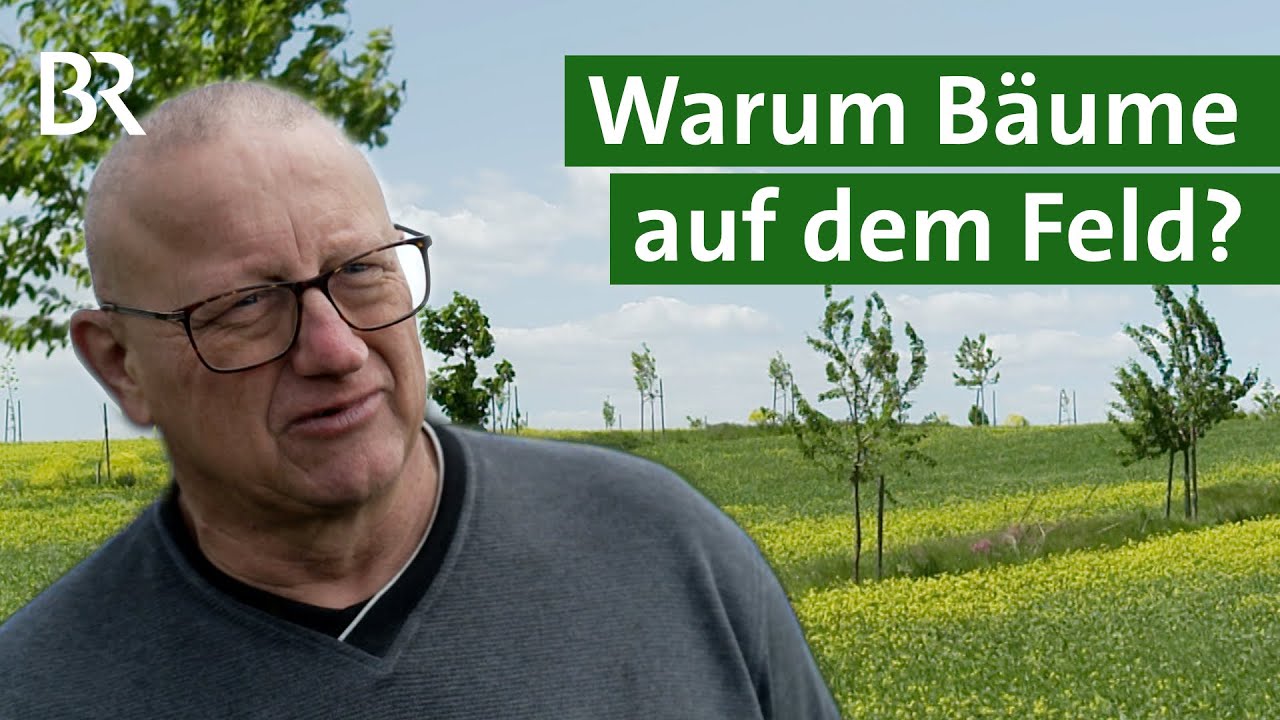 Agroforst: Bäume auf dem Acker pflanzen gegen Trockenheit | Unser Land | BR