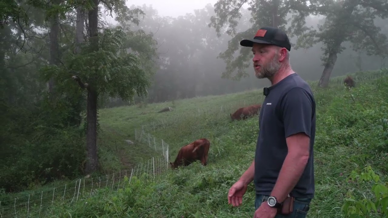 The Great American Justin Rhodes Homestead Tour!