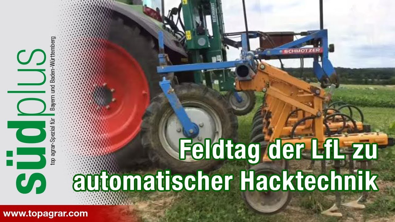 Automatische Hacktechnik: Feldtag der LFL in Unterfranken
