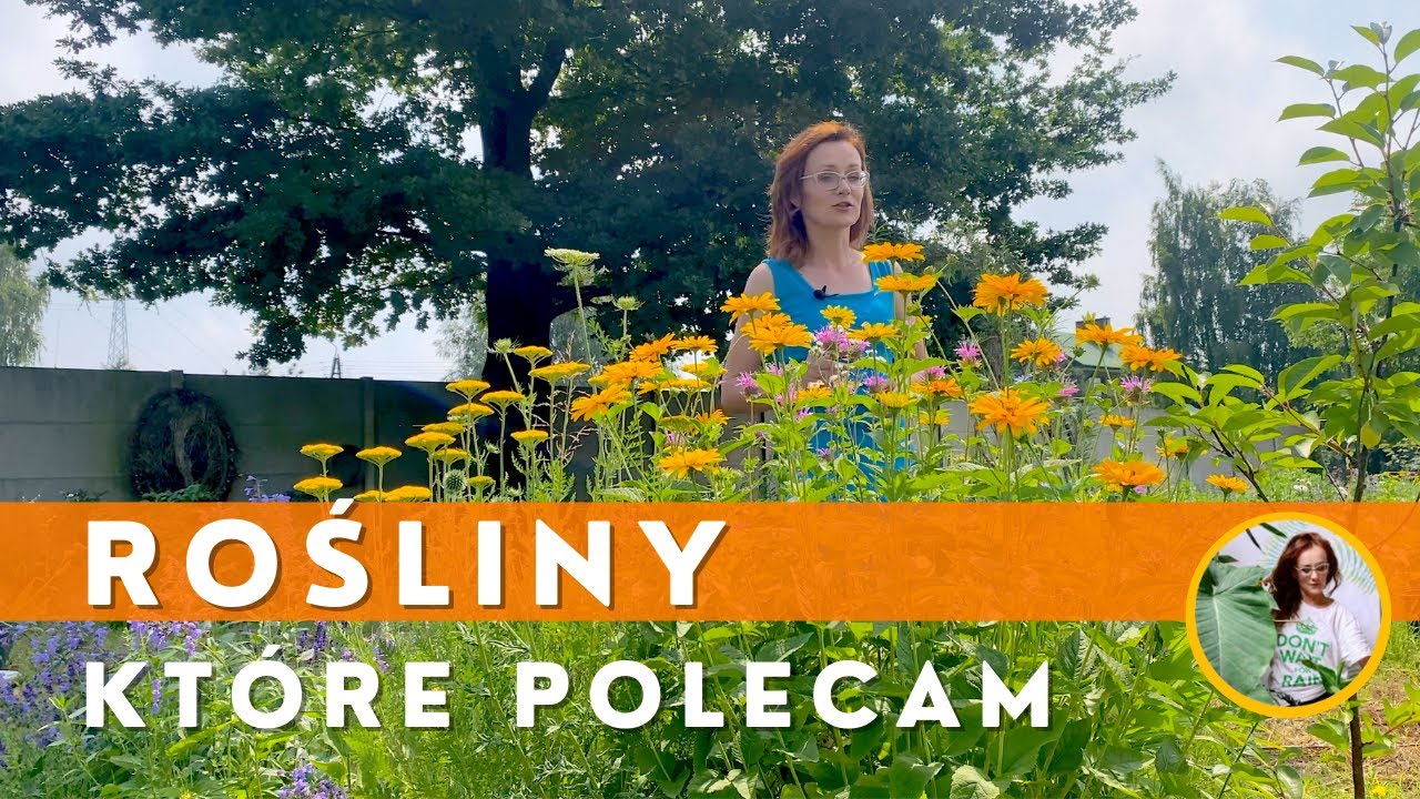 ŁADNE i CIEKAWE rośliny ogrodowe. Polecane rośliny do ogrodu i na balkon
