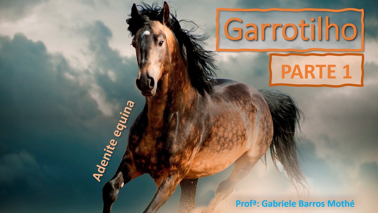 GARROTILHO ou ADENITE EQUINA - parte 1 (medicina veterin&aacute;ria)