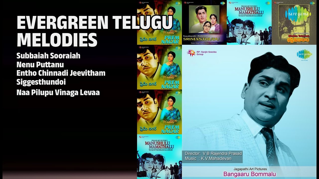 ఎవర్ గ్రీన్ తెలుగు మెలోడీస్ | S.P. Balasubrahmanyam Songs | Subbaiah Sooraiah | Nenu Puttanu