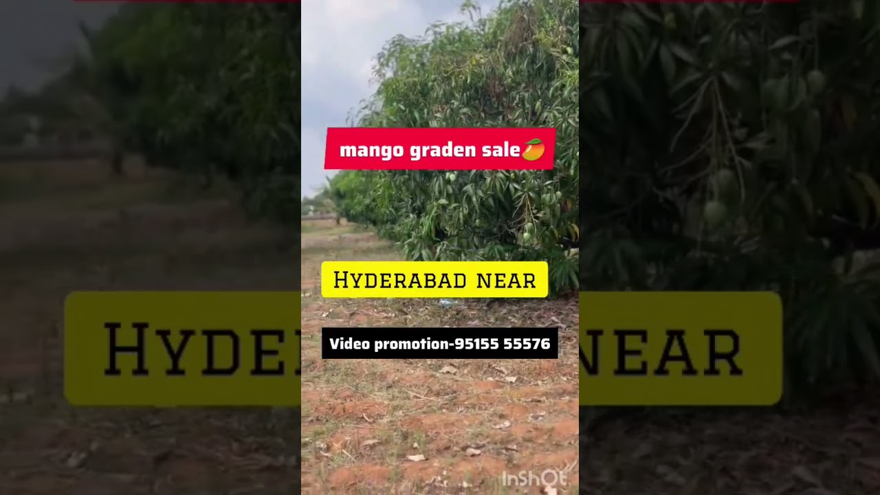 100 Acres Fully Developed Farm Land for Sale || near Hyderabad