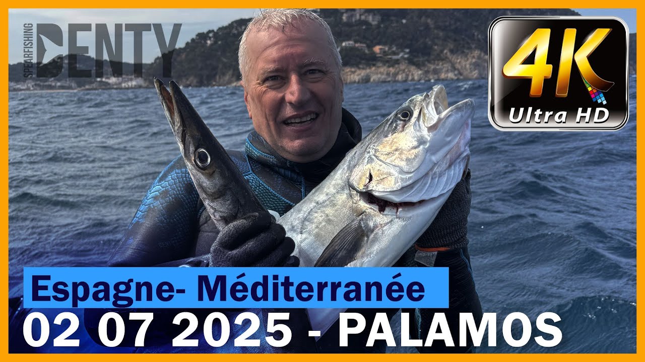 La saison des Liches Amies a commencée en Chasse sous-marine