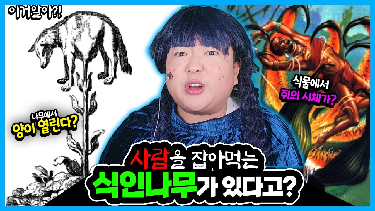 [이거알아?! 식물괴담] 놀라움주의!🔥😱 전설의 신기한 식물들!! 양이 열리는 나무?!식인나무가 있다고?!