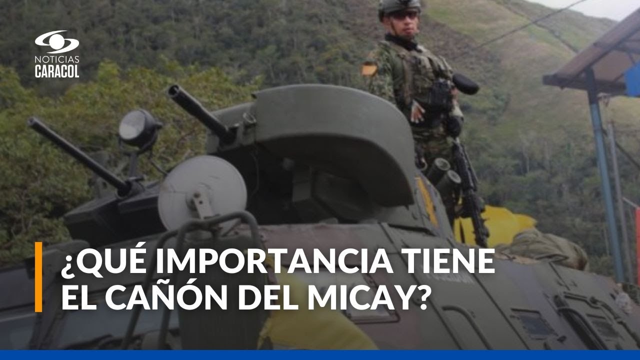 ¿Cómo avanza la Operación Perseo en Argelia, Cauca?