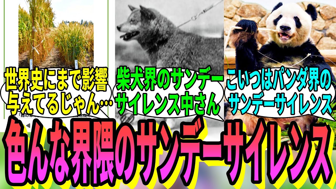 【競馬の反応集】「〇〇界のサンデーサイレンスを集めてみる」に対する視聴者の反応集
