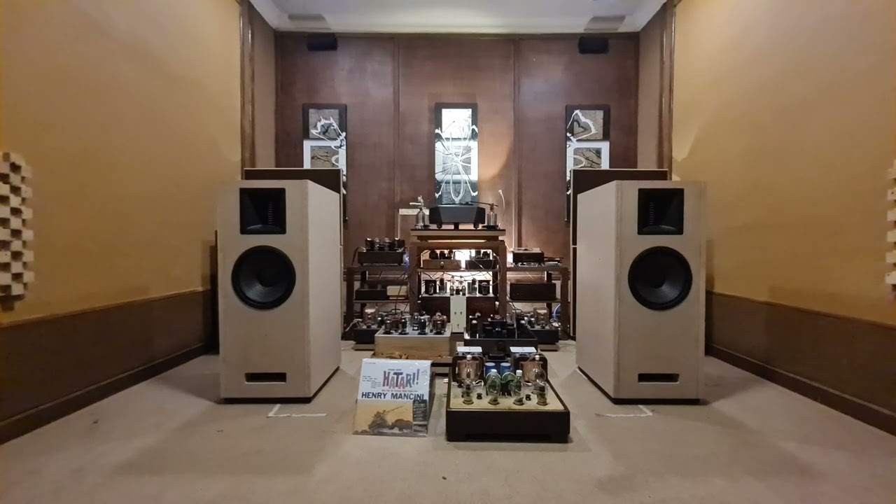 HATARI, IT IS TRUE  ANALOG SOUND OF WE- 300B.