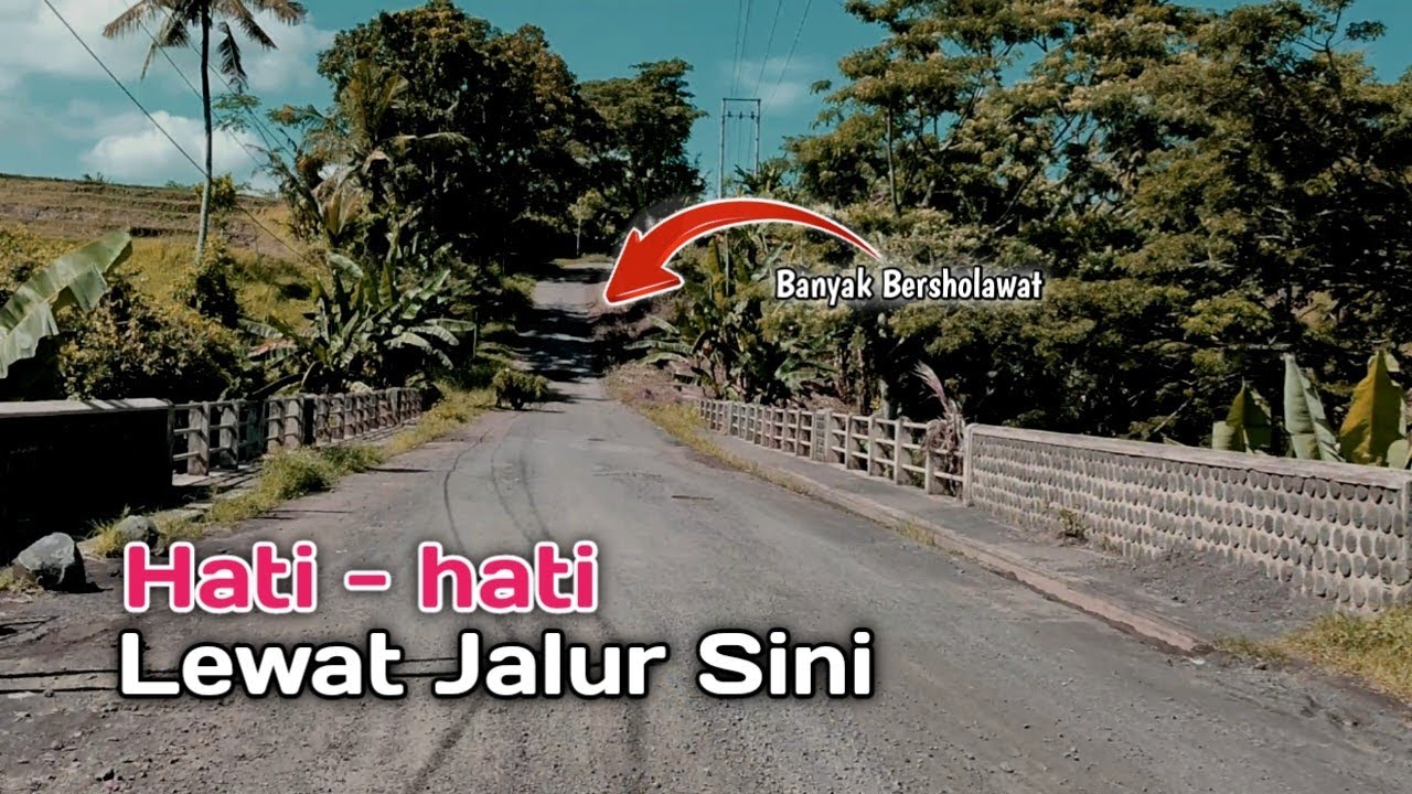 Menyusuri Desa Macan Putih Kabat Banyuwangi || Akhir Tahun 2022 || Mylank channel