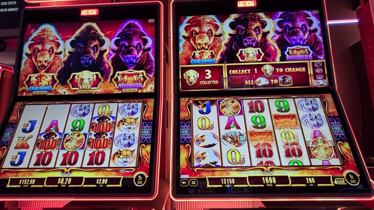 Celebrating our 201 subscribers!!! Double machine action on Buffaalllooooo!!!