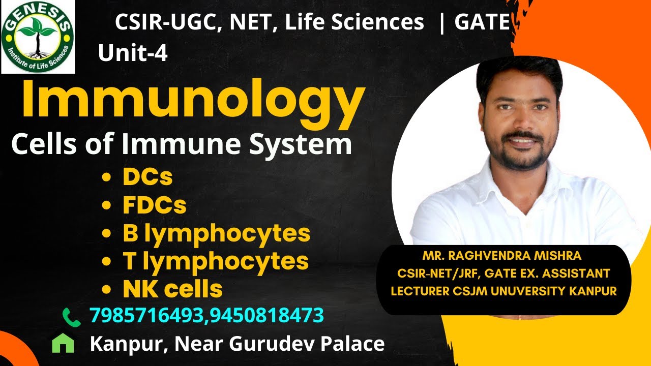 Cells of Immune System | DCs, FDCs, B lymphocytes, T lymphocytes & NK cells |#genesis_institute