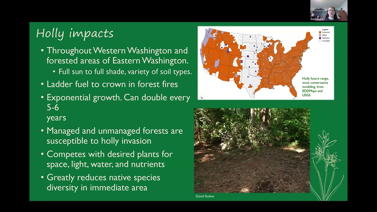 Washington State Noxious Weeds: Laws, and recently listed species