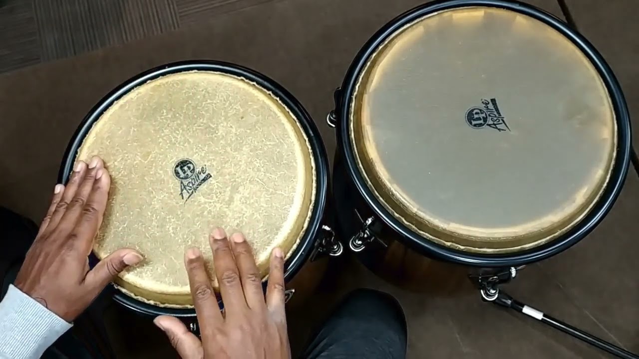 Mambo 5 tutorial Congas