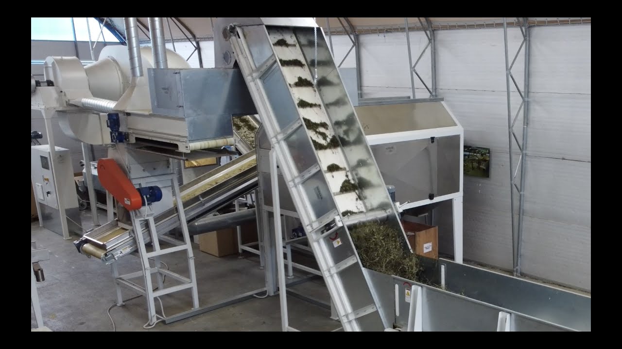 Herbs processing line