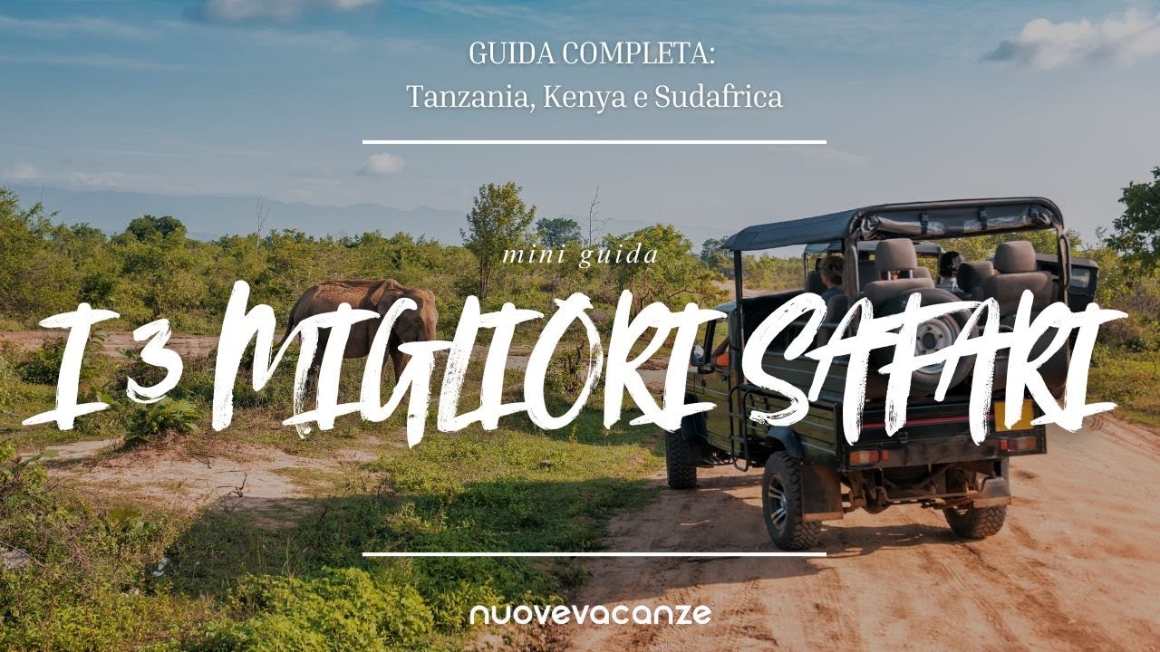 I 3 safari migliori | Tanzania, Kenya, Sudafrica | + Periodo e Consigli