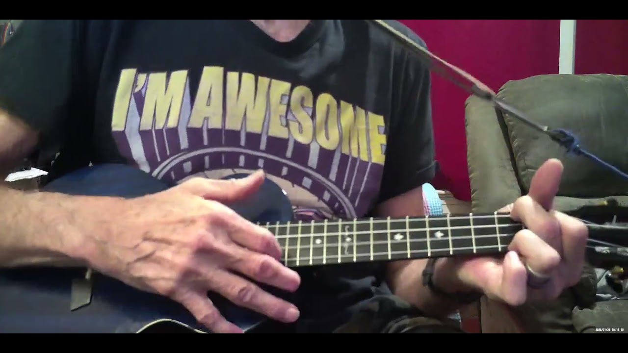 Cover of Pigs on the wing part one by Pink Floyd on tenor ukulele