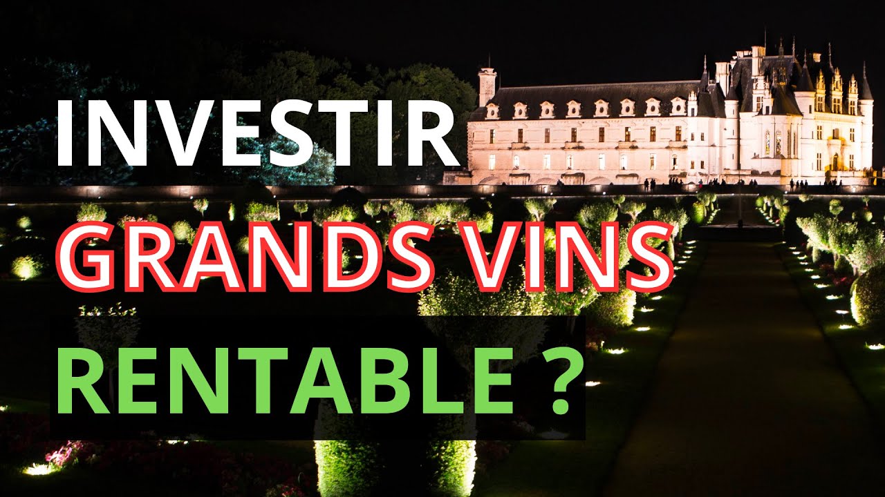INVESTIR DANS LE VIN : QUELLE RENTABILITÉ ? 🤑😱