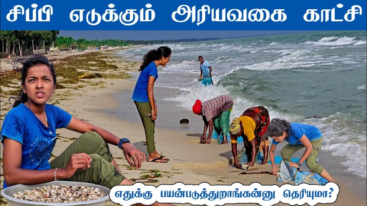 சிப்பி எடுக்கும் அரிய வகை காட்சி 😱#trending #trending #shortvideo #fish #viral #entertainment