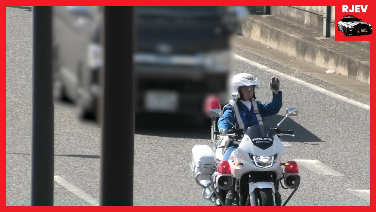 【警察いるのに！】見せる取り締まりでも違反するドライバーたち / パトカーの真後ろでイエローカット / 警察官の真横で一時停止サインをガン無視する原チャ / 白バイに確保される暴走ワゴン