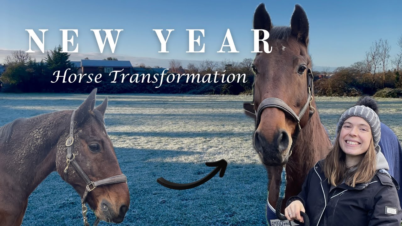 Ultimate Spa Day for my Horse | Satisfying Before & After 😍 | Working Horsey Mum 