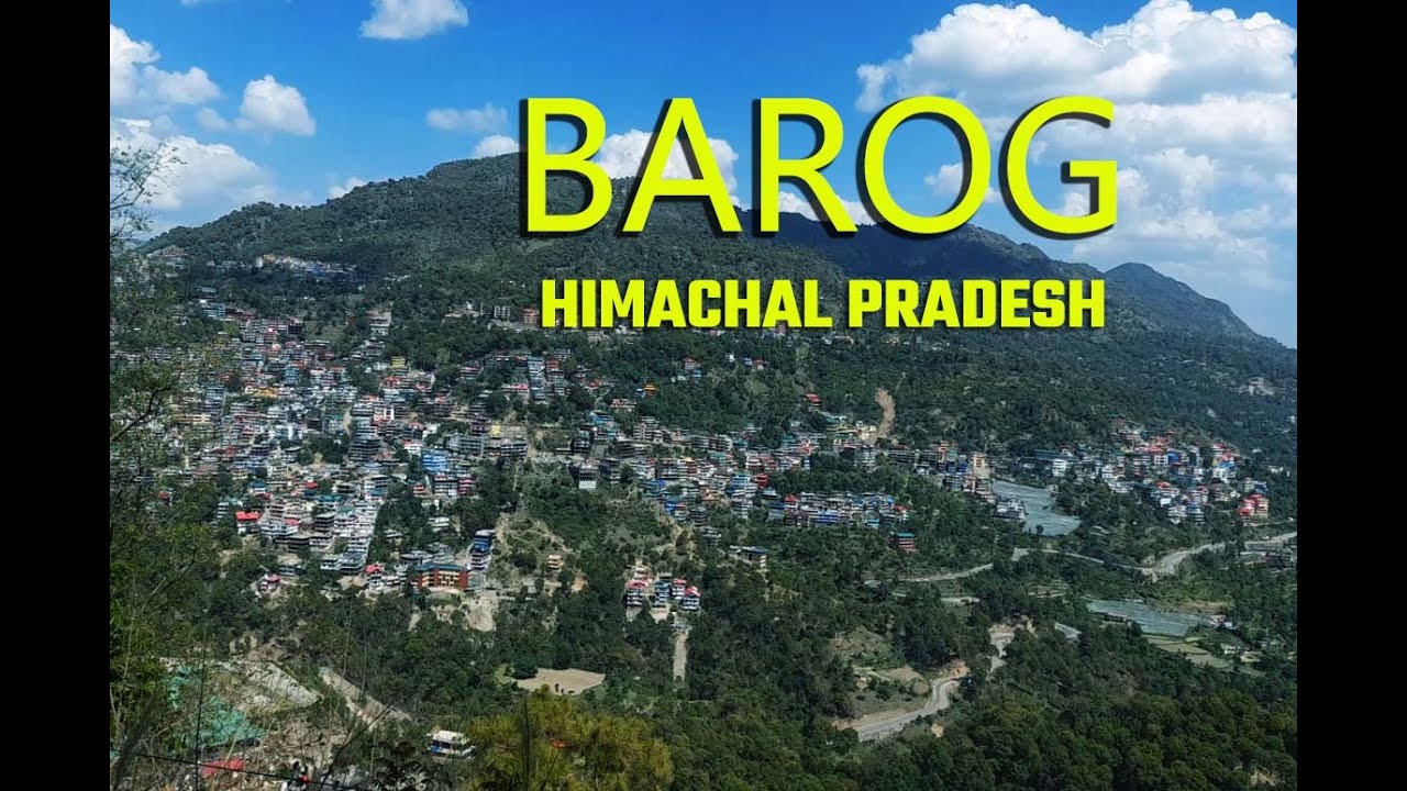 barog himachal pradesh places to visit | barog railway station himachal pradesh | barog hill station