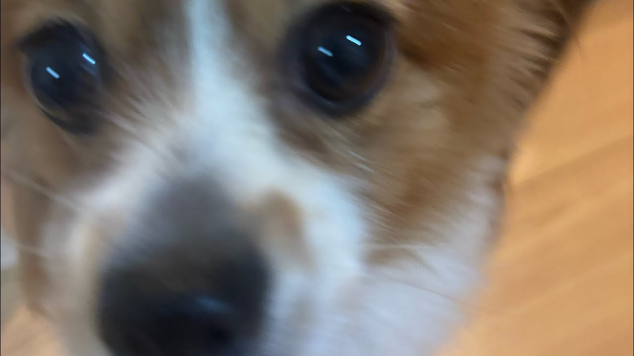 眠れぬ森のエナジードリンク