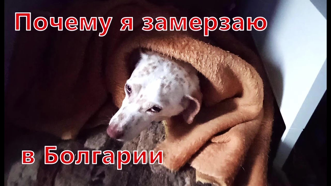 Чтобы не мерзнуть и не тратить огромные деньги в Болгарии- это важно знать.