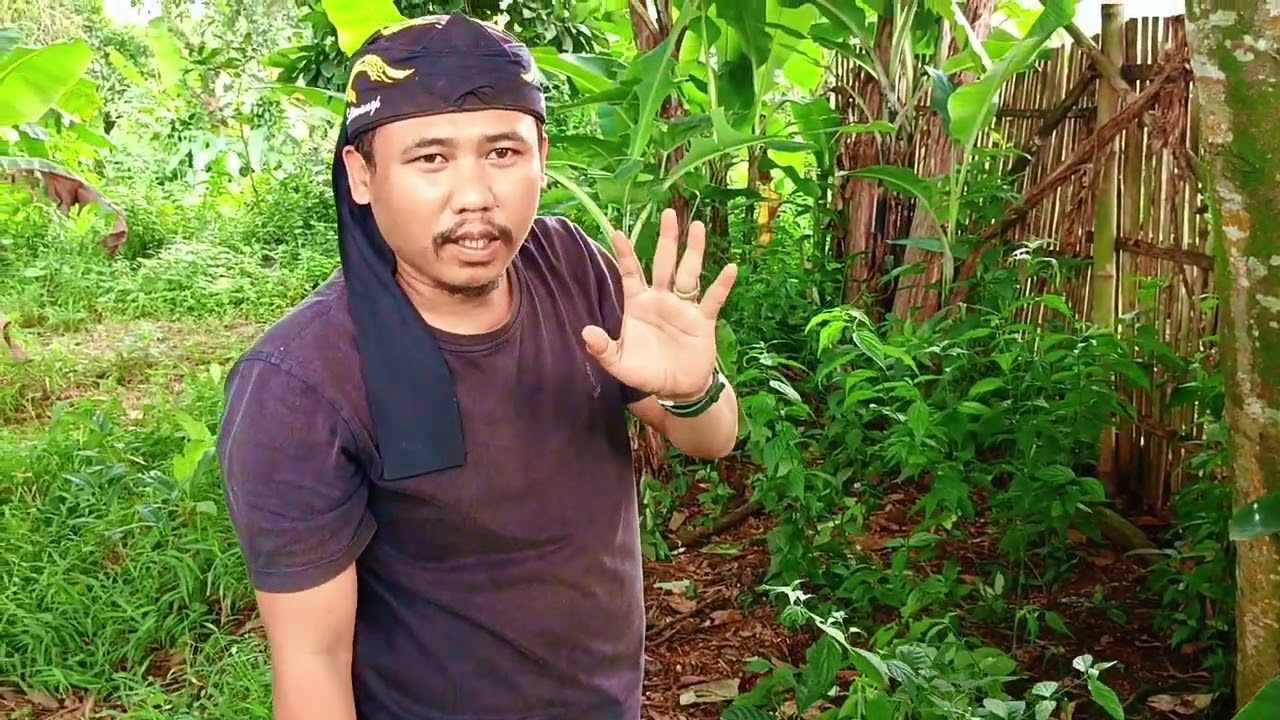 #vlog Vid-2 || Penarikan Pusaka Sampoerna Ci hideung