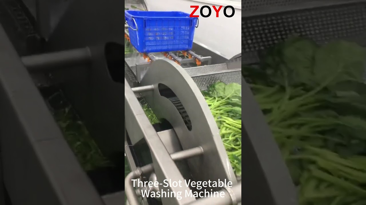 Three Slot Spinach Vegetable Washing Machine with Water-Spray and Filtering