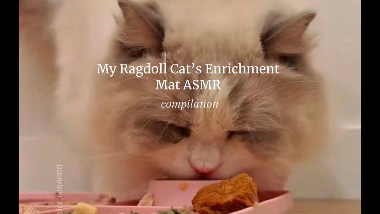 My Cat's Satisfying Eating ASMR :3 Enrichment Mat Compilation!