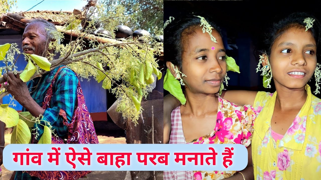 गांव में ऐसे बाहा परब मनाते हैं | बाहा बोंगा मरांग परब | Adivasi baha festival | chaibasa baha parab