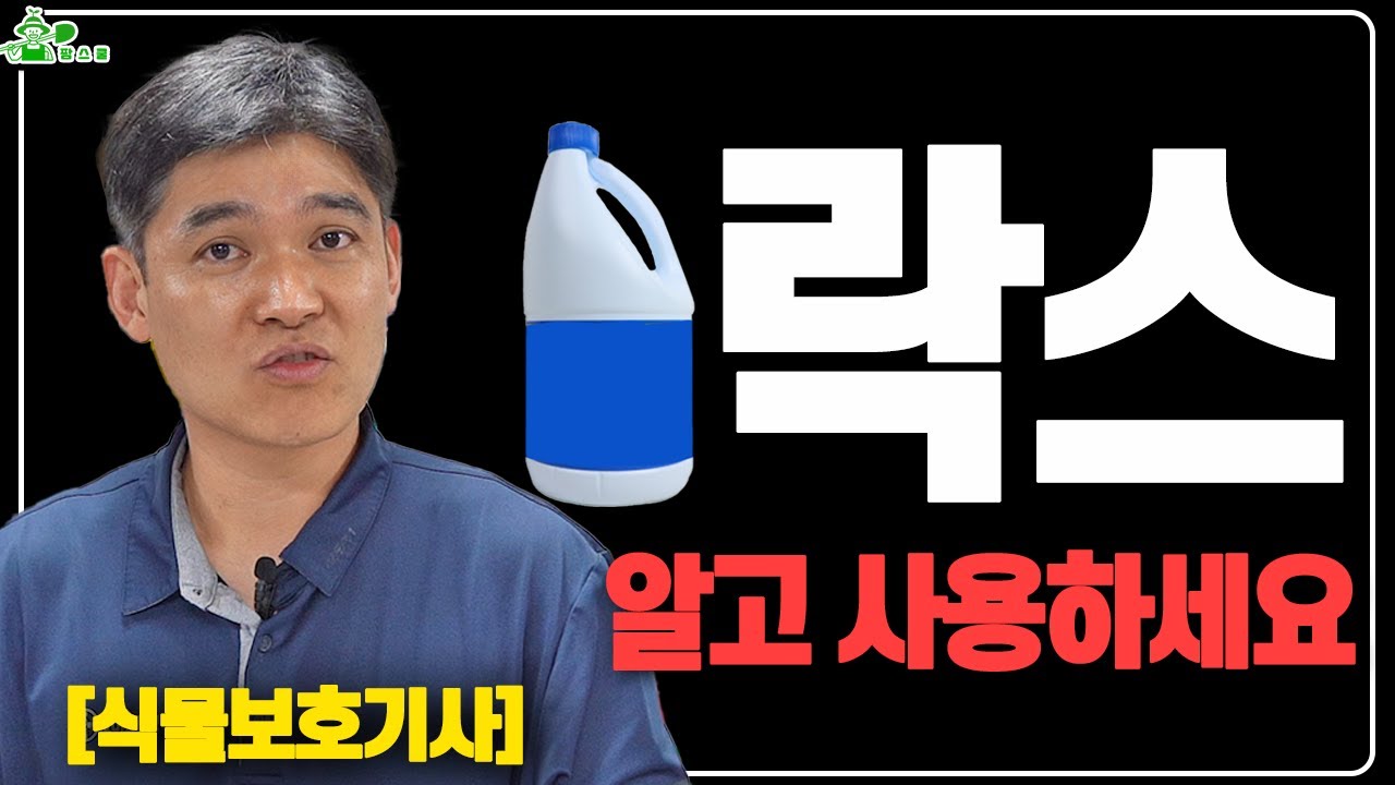 식물에 락스 쓰세요?? ㅣ 락스 제대로 알고나 사용하세요 ㅣ 식물보호기사가 알려주는 락스 사용법