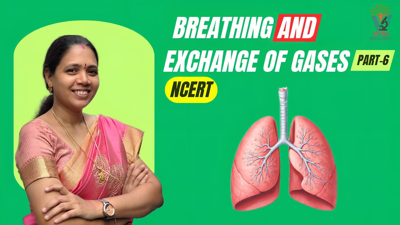 BREATHING AND EXCHANGE OF GASES:[ P-6] NCERT| Class 11 Biology | NEET Preparation