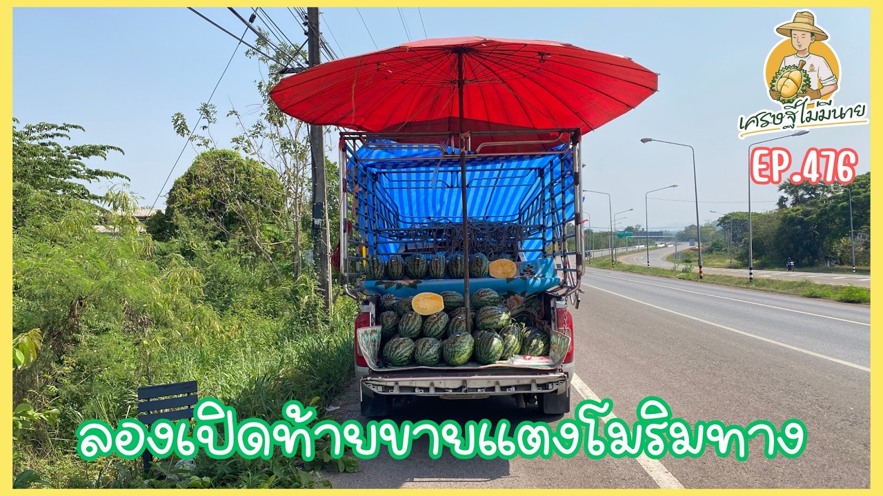 ลองเปิดท้าย ขายแตงโมริมทาง/เศรษฐี ไม่มีนาย EP.476
