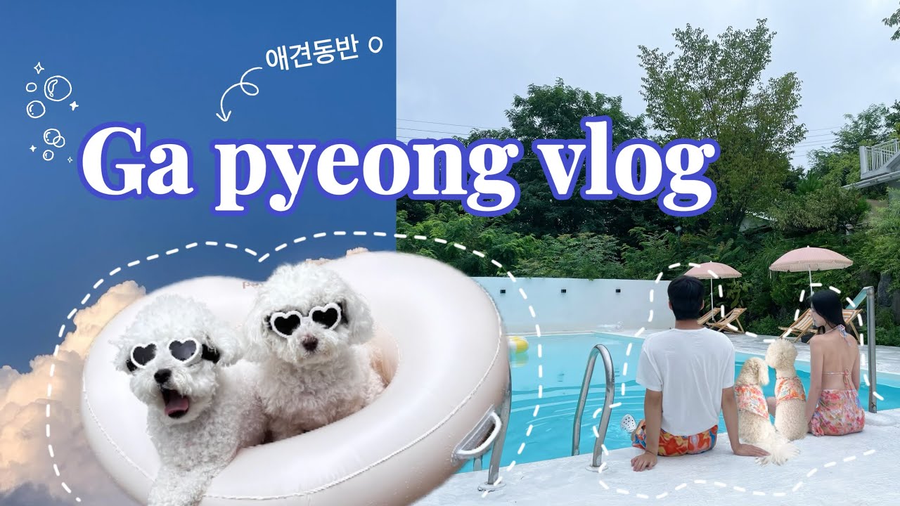 [가평 여행 vlog] 반려견과 함께 힐링 휴가 | 애견동반O | 카페 | 캠핑 | 수영장 | 독채펜션 | 맛집추천