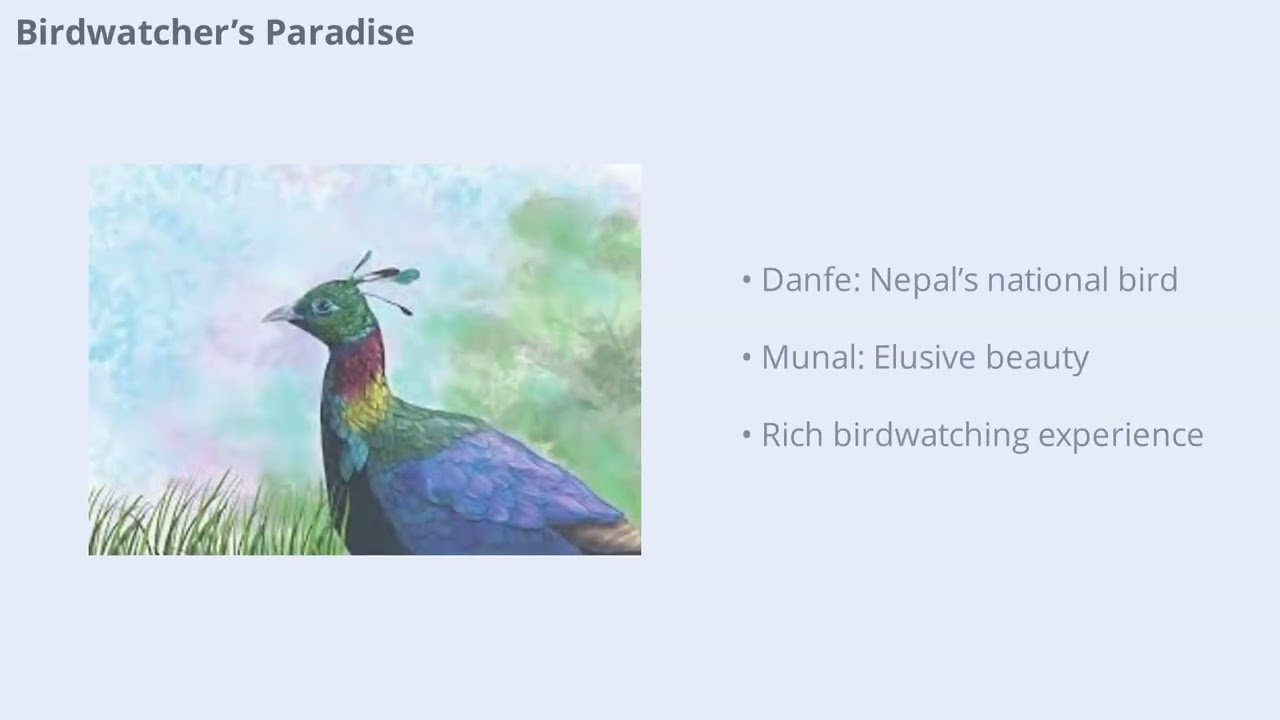 Ramaroshan :PDF VIDEO VIDEO 1771898927264