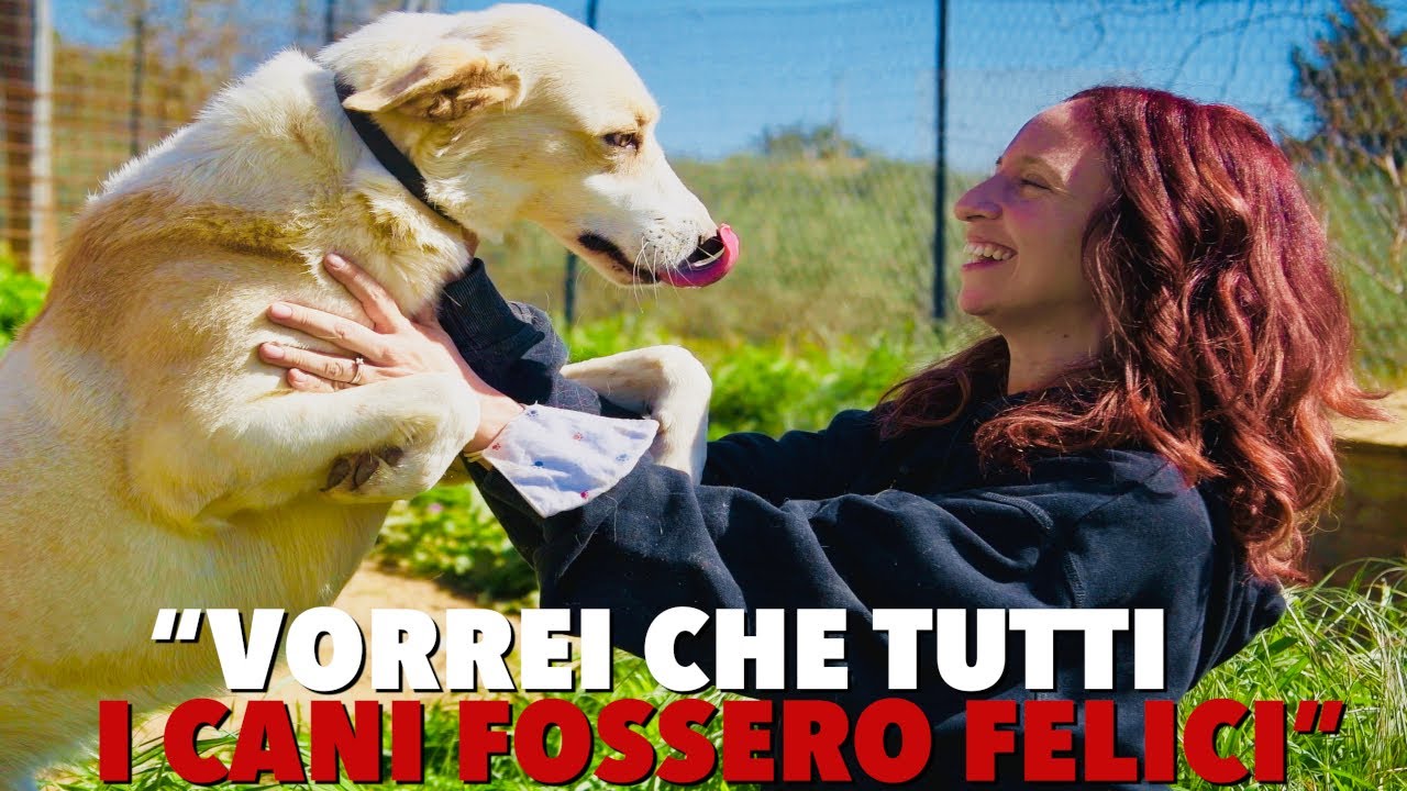CHIARA E L'AMORE PER I SUOI CANI DA SALVARE | FUORIMEDIA